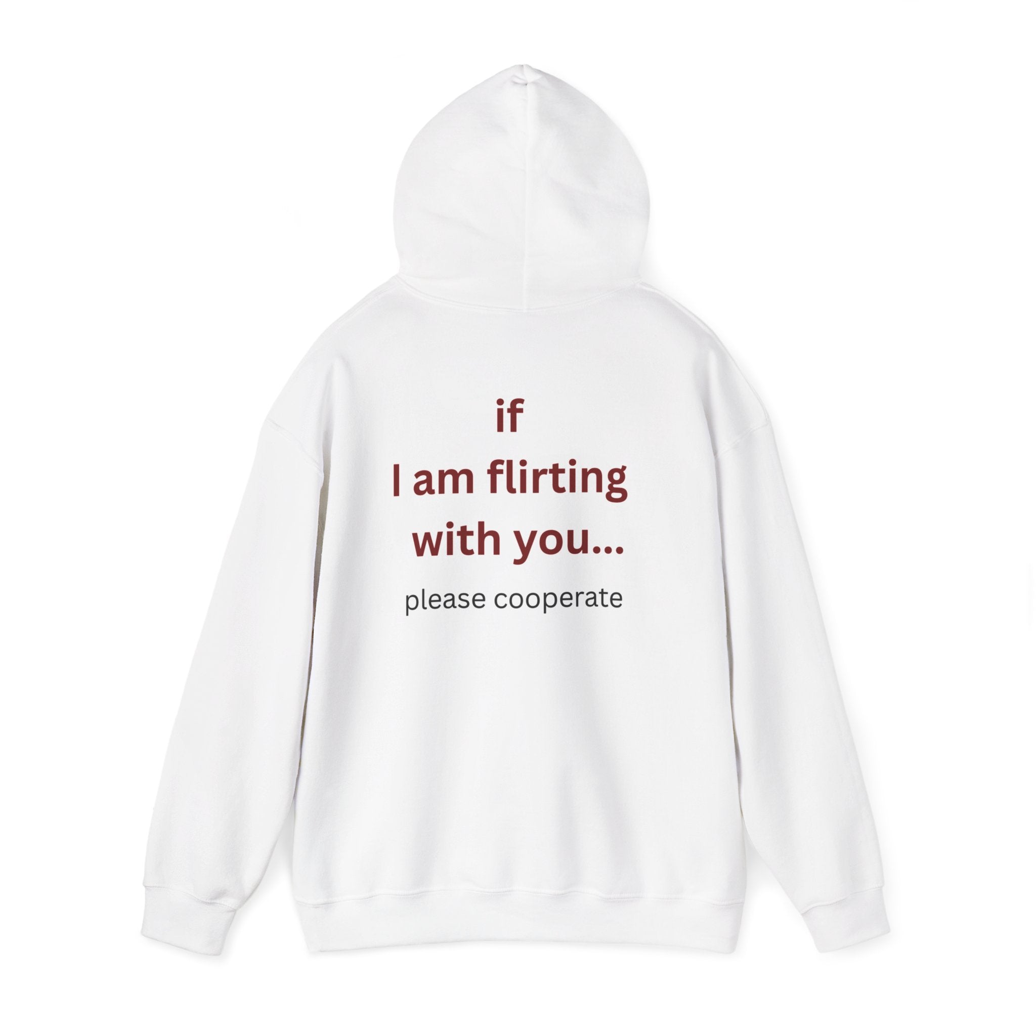 Hoodie — "I Am Flirting With You... Please Cooperate" Funny Graphic Pullover