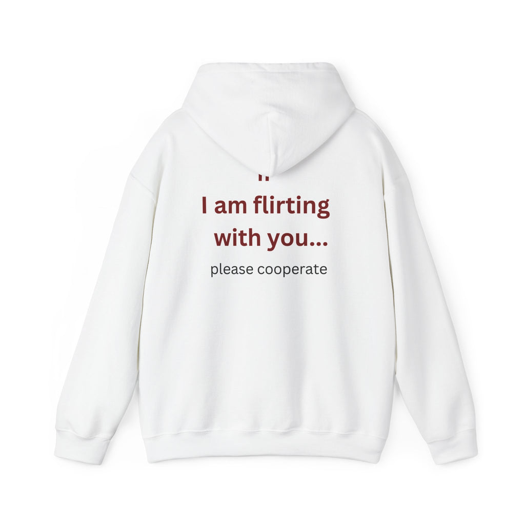 Hoodie — "I Am Flirting With You... Please Cooperate" Funny Graphic Pullover