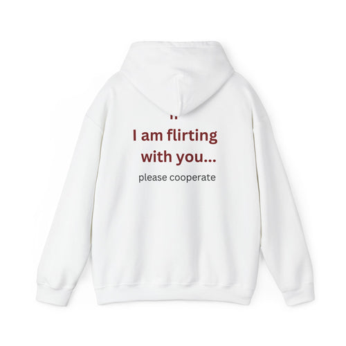 Hoodie — "I Am Flirting With You... Please Cooperate" Funny Graphic Pullover
