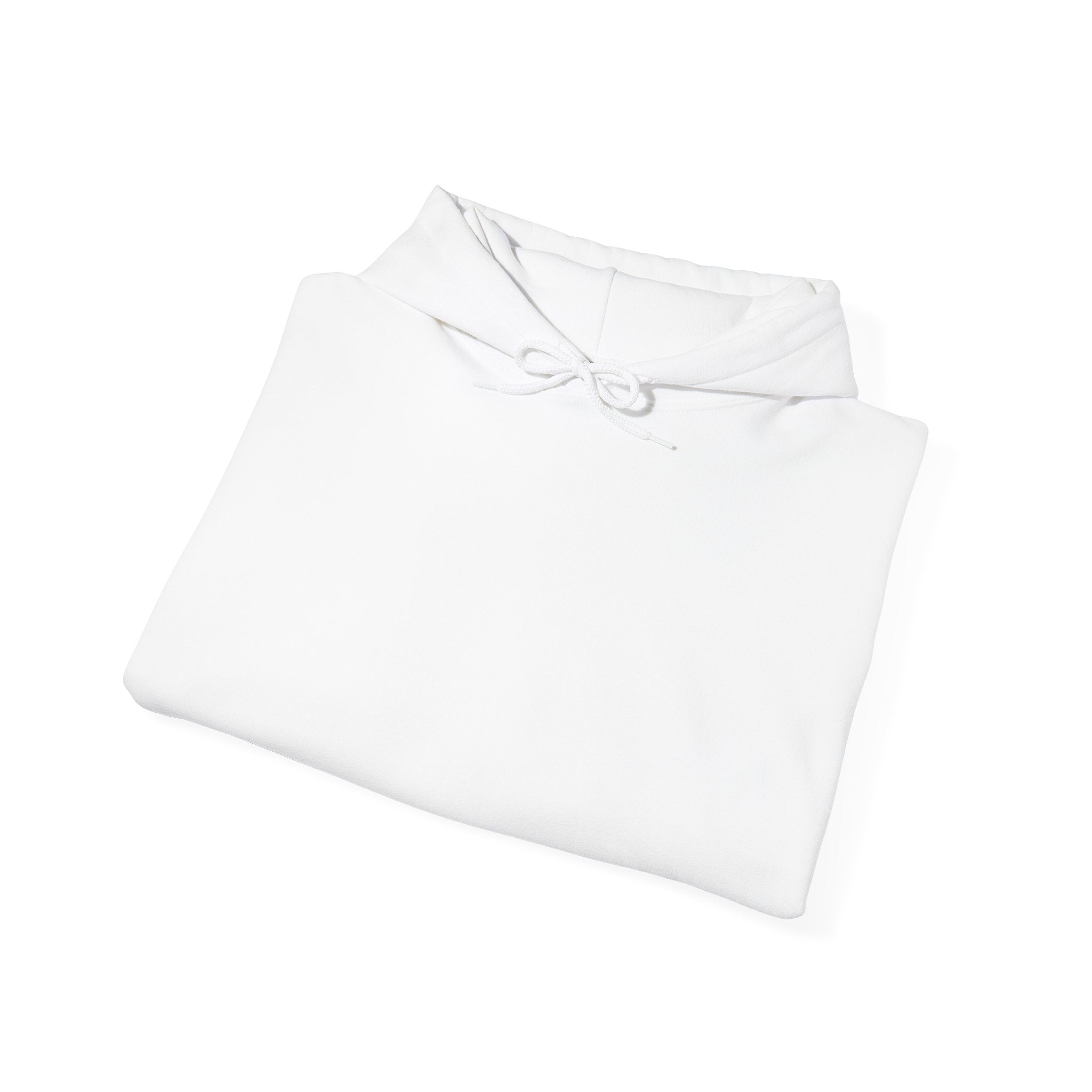 Hoodie — "I Am Flirting With You... Please Cooperate" Funny Graphic Pullover